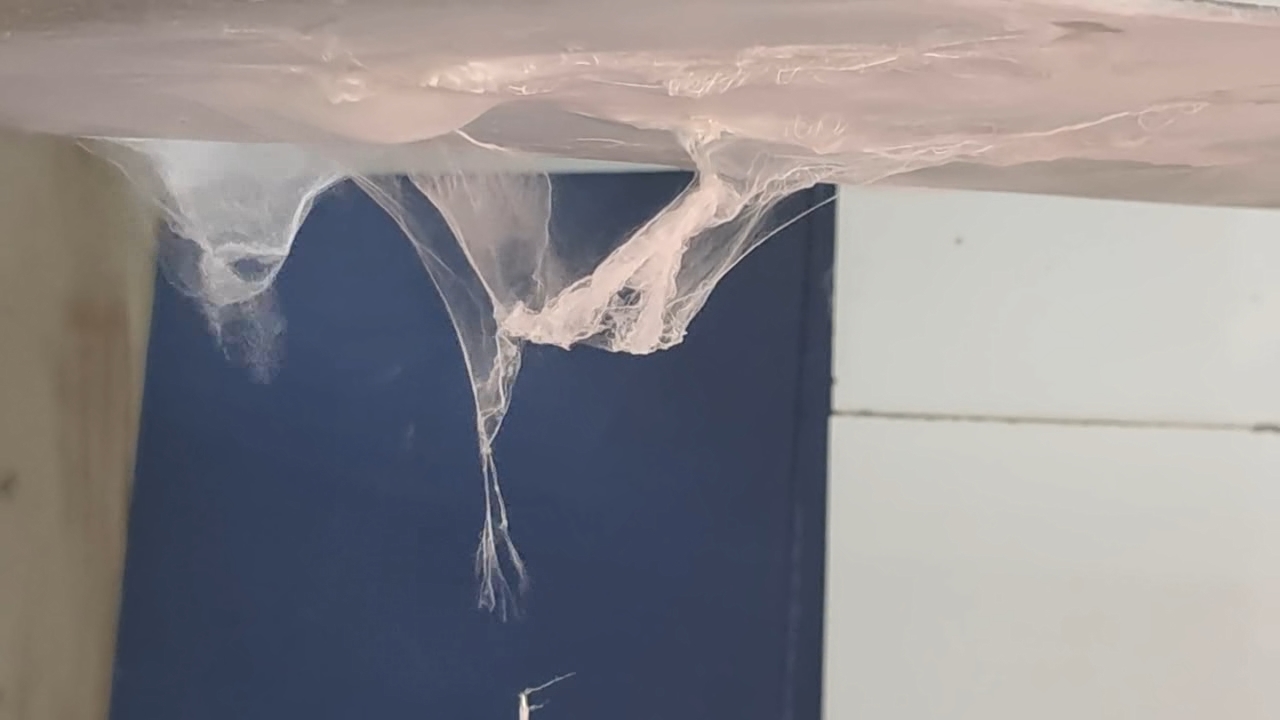 Electrospinning: Solutions of Polystyrene and Polyvinylidene Difluoride in Dimethylformamide